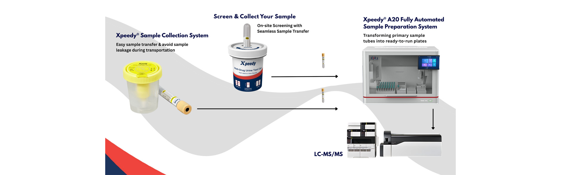 6Meet Your Urine Toxicology Solution